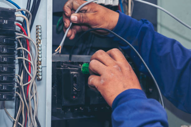 Best Local Electrician Companies  in Fort Davis, TX